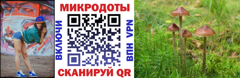 Псилоцибиновые грибы Psilocybine cubensis  Ртищево 